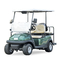 Custom Golf Trolley High Quality Competitive Price Mini Electric Golf Cart