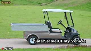 A1H2 Champagne Gold این وسیله نقلیه چند منظوره برقی ایمنی و پایداری طولانی مدت