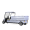 CE Approved Battery Powered Golf Buggy Car with Aluminum Cargo Box for Farm/Hotle Transportation